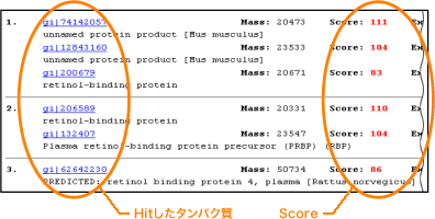 addgene-NR特徴