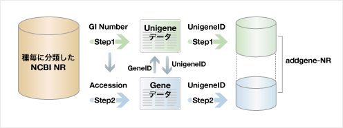 addgene-NRの作成フロー