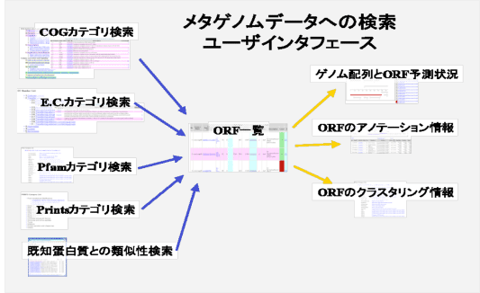 メタゲノムデータへの検索ユーザインターフェース