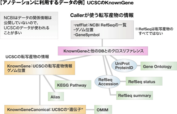 アノテーションに利用するデータの例