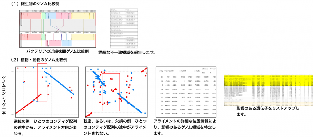 微生物 植物 動物のゲノム比較サービス Br Genome Comparison Services バイオ事業 株式会社メイズ 微生物 植物 動物のゲノム比較サービス Br Genome Comparison Services バイオ事業 株式会社メイズ