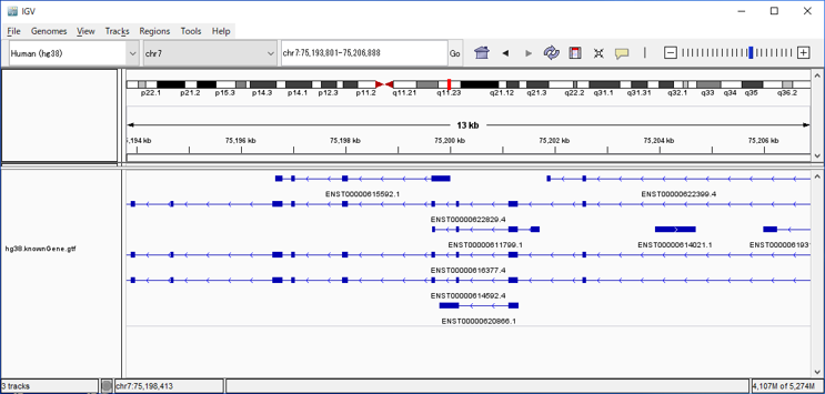 Genome配列から遺伝子領域を予測する