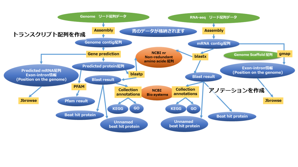 格納データとデータ間の関係